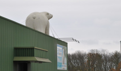 Der Eisbär von Arbon ist wieder los
