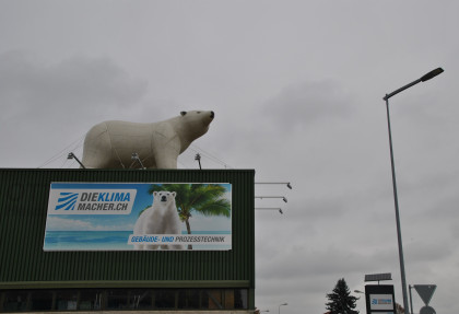 Der Eisbär von Arbon ist wieder los