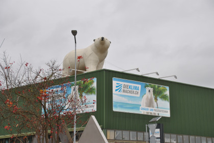 Der Eisbär von Arbon ist wieder los