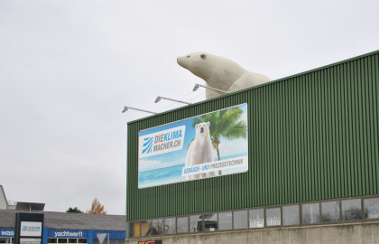 Der Eisbär von Arbon ist wieder los