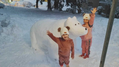 Schnee-Eisbär