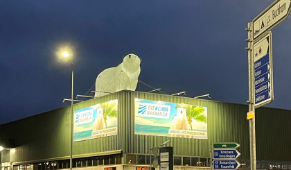 Der Eisbär von Arbon ist wieder los